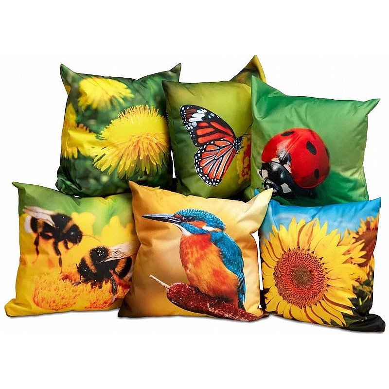 Nature Cushions - Pack of 6 - Education
