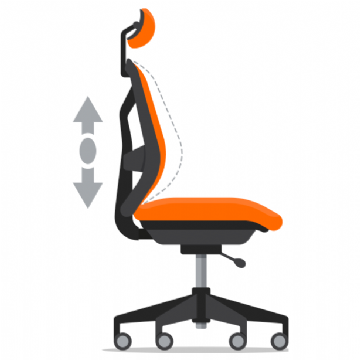 Adjustable Lumbar Support