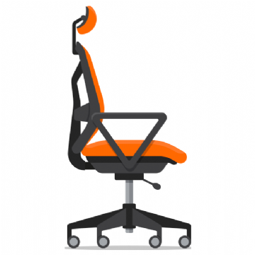 Fixed Loop Arms