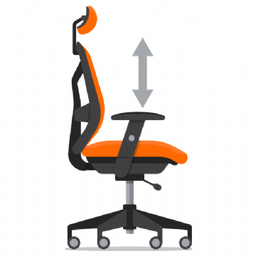 Height Adjustable Arms