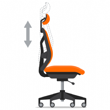 Height Adjustable Backrest
